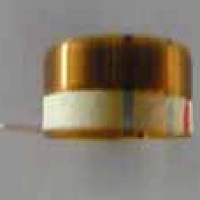 Voice coil