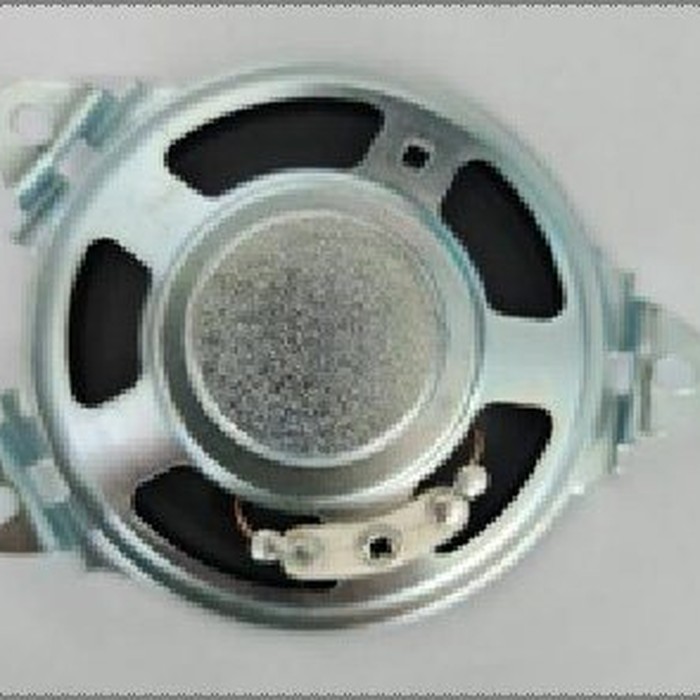 Speaker