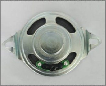 Large speaker